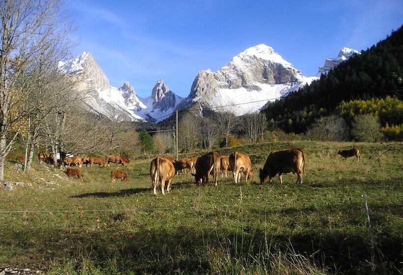 Bed and Breakfast L Acacia