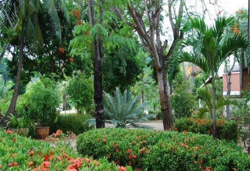 ホテル Rose Garden Samui Bungalows