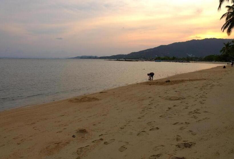 ホテル Rose Garden Samui Bungalows