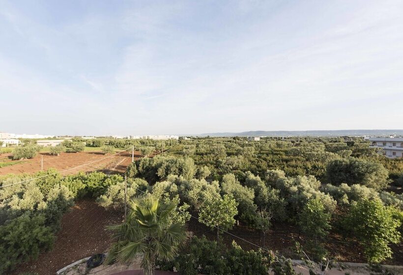 Il Sole Bed And Breakfast