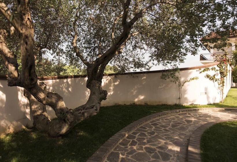 Il Sole Bed And Breakfast