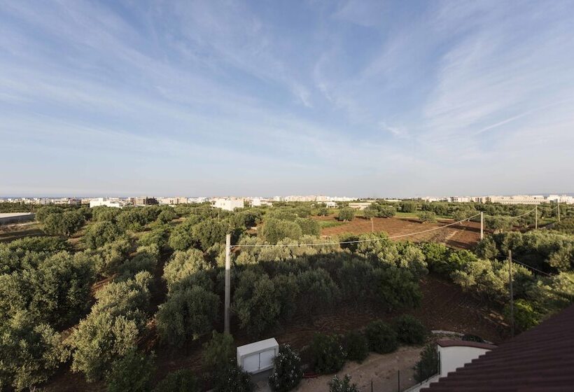 Il Sole Bed And Breakfast