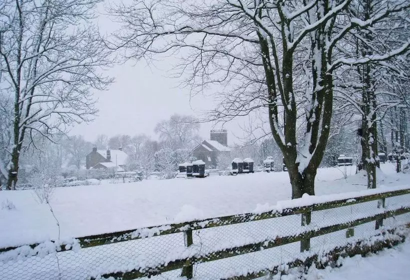Falstone Barns