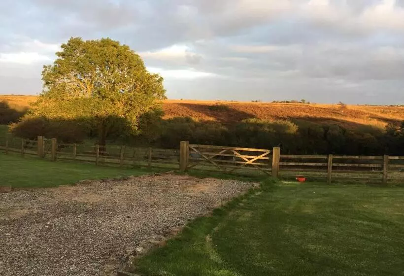هتل Folly Hall Farm