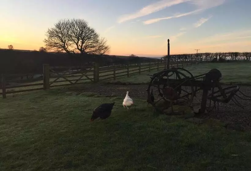 هتل Folly Hall Farm