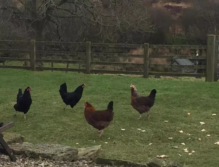 هتل Folly Hall Farm