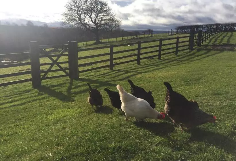 هتل Folly Hall Farm