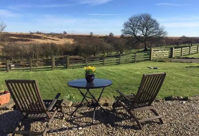هتل Folly Hall Farm