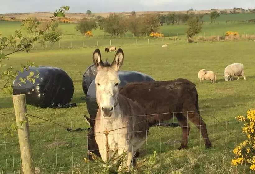 هتل Folly Hall Farm