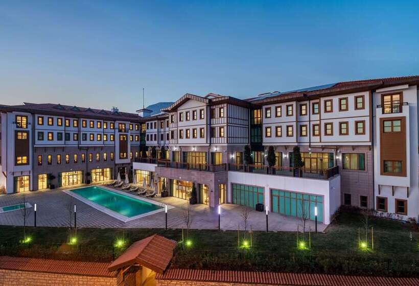 Отель Hilton Garden Inn Safranbolu