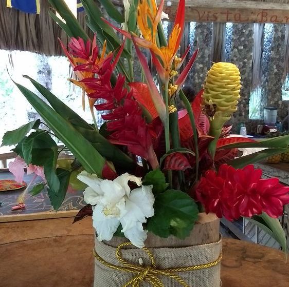 هتل Villas Pico Bonito