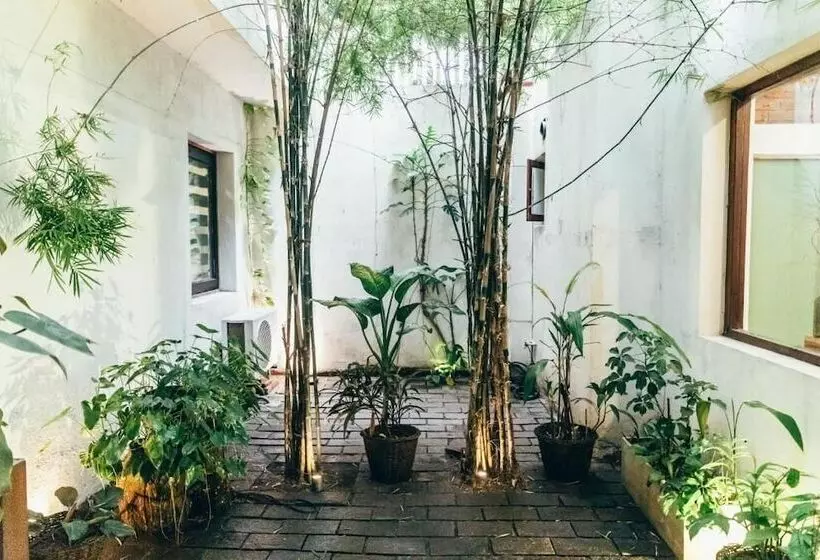 Pensione Moss Colombo