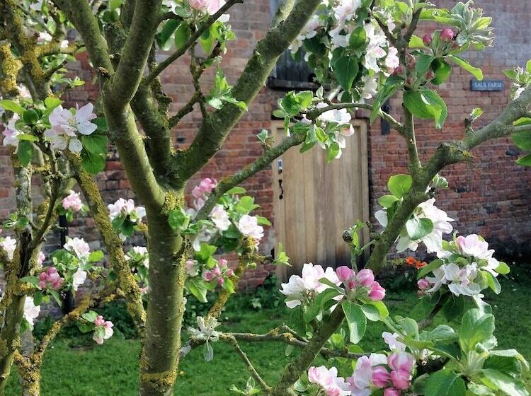 Bed and Breakfast Saul Farm