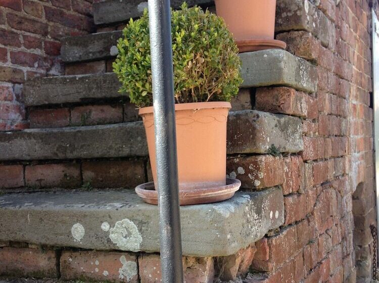 Bed and Breakfast Saul Farm