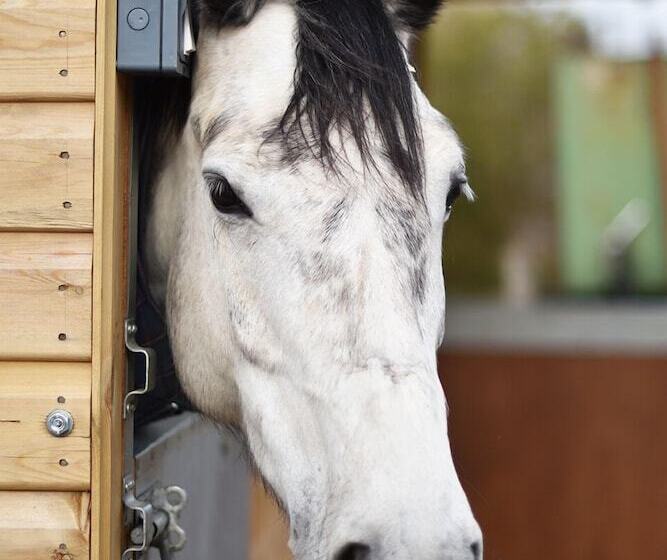 Harrogate Country B&b