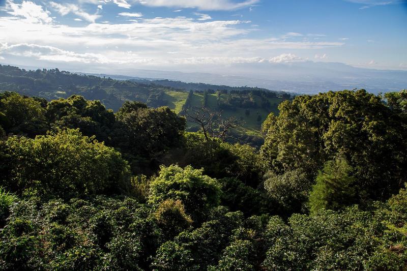 簡易ホテル Chayote Lodge