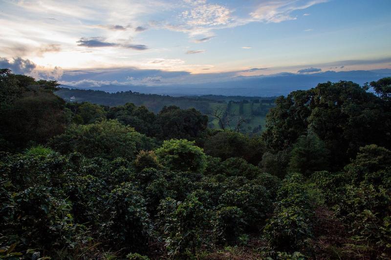 簡易ホテル Chayote Lodge