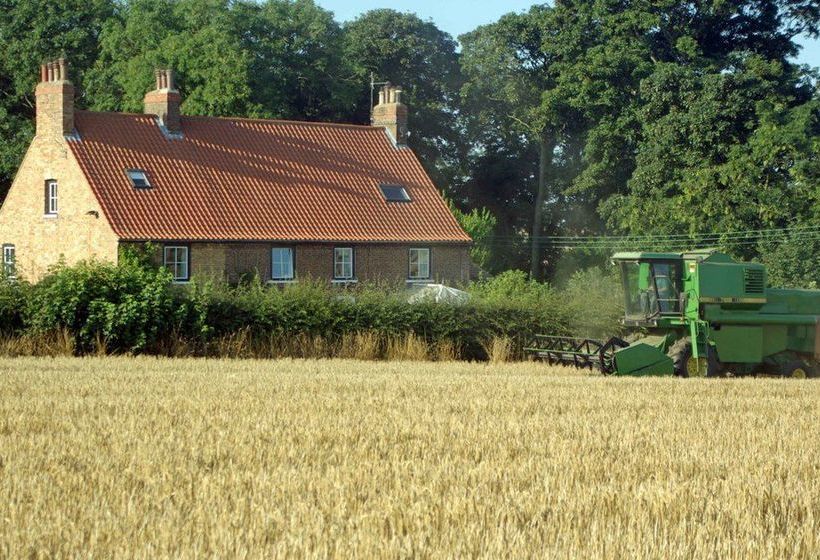 בית מלון כפרי Dale Farm Campground