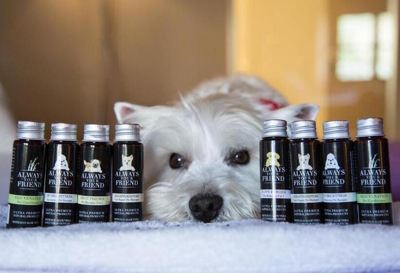 ホテル Hydrama Grand