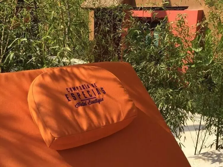Hotelli Soul Spring Sanctuary