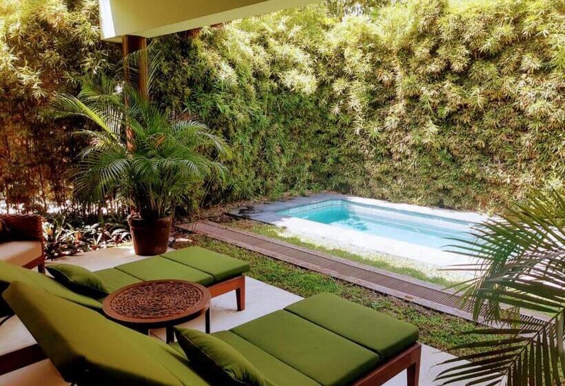 فندق Soul Spring Sanctuary