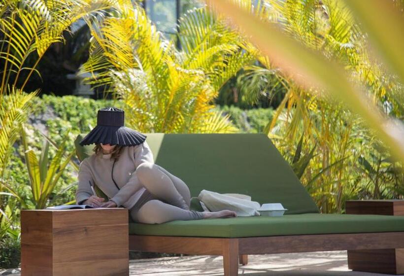 فندق Soul Spring Sanctuary