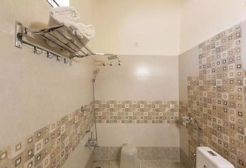 Kstdc Hotel Mayura Vijayanagara Hampi