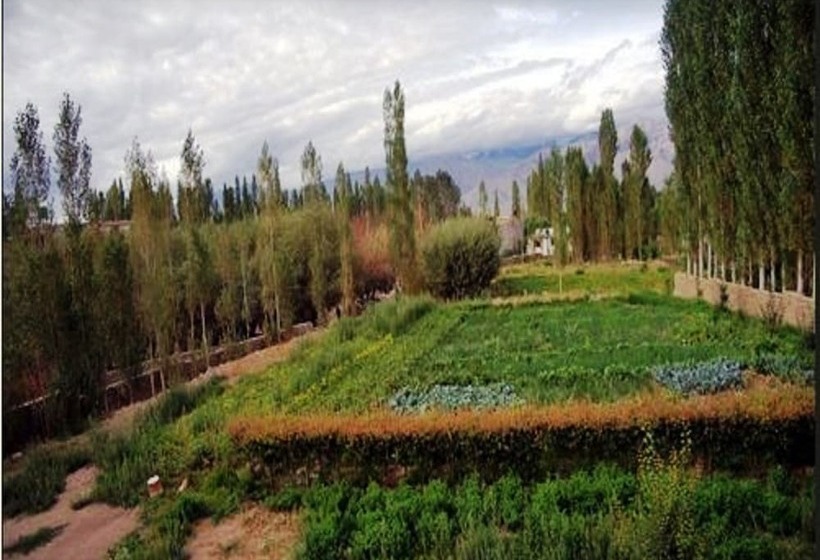 Hotelli Ladakh Heaven