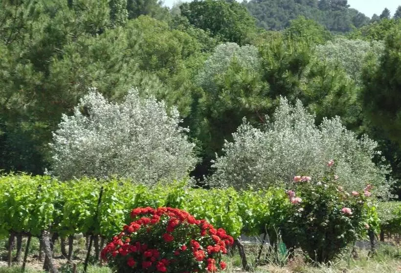 Bed and Breakfast Les Chambres De Charlotte