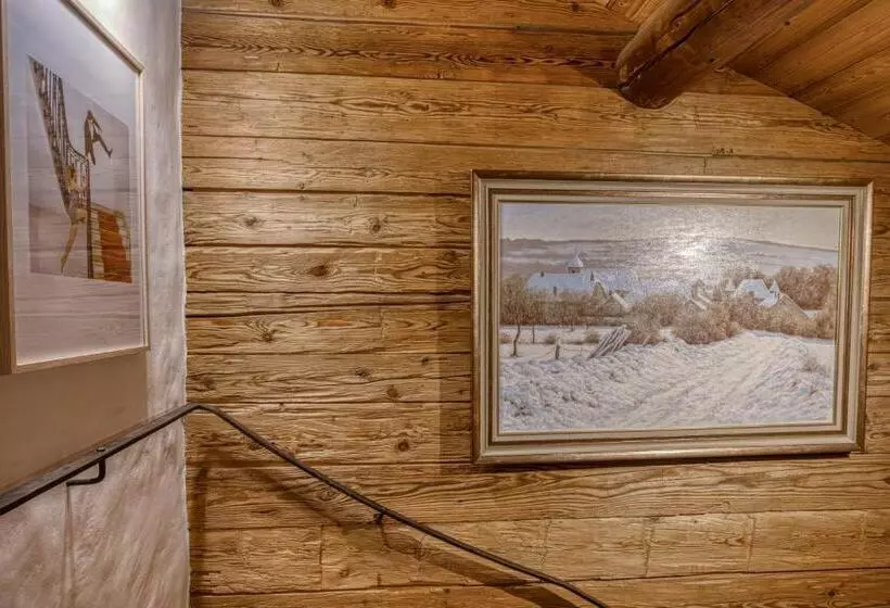 هتل Le Vieux Chalet