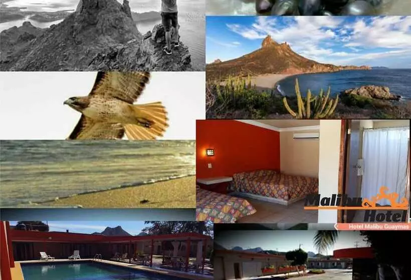 ホテル Malibu Guaymas