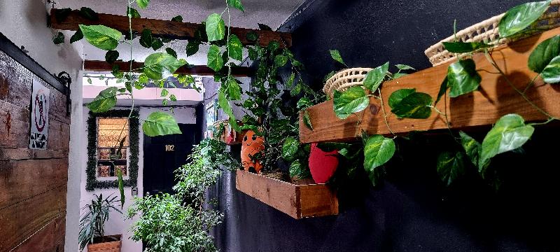 Mini Hotel San Luis Potosí