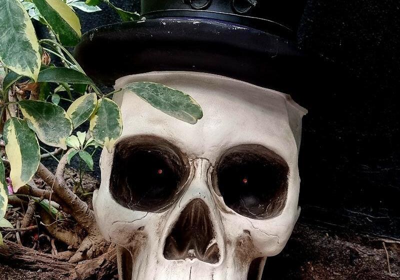 Mini Hotel San Luis Potosí