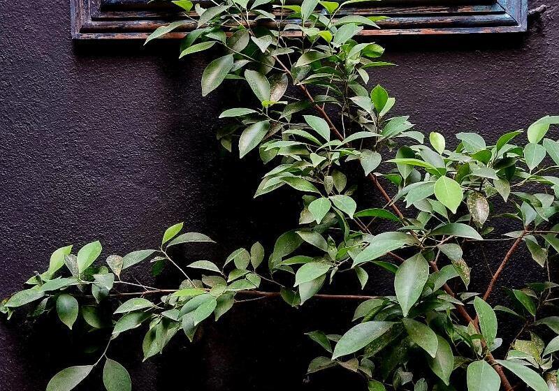 Mini Hotel San Luis Potosí