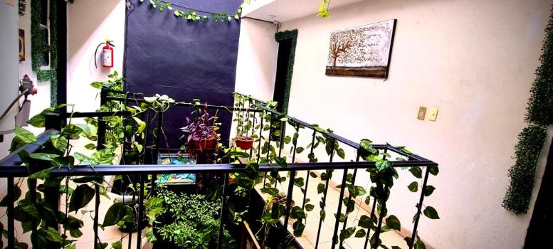 Mini Hotel San Luis Potosí