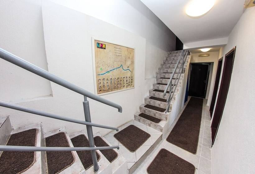 هاستل Guest House Like