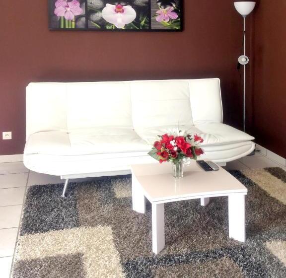 Appartement Charmant A Carcassonne Avec Terrasse