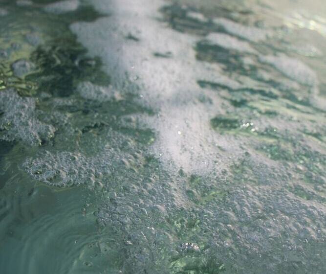 住宿加早餐  Isa&ric