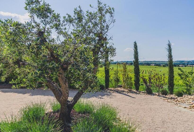 ベッドアンドブレックファースト Maison Sadina