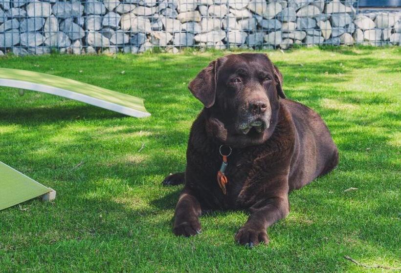 ベッドアンドブレックファースト Maison Sadina