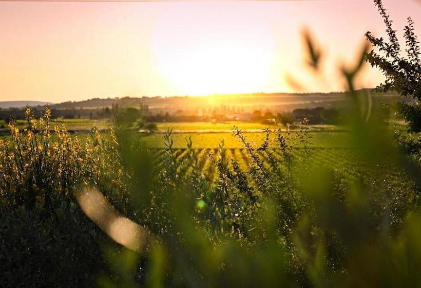 ベッドアンドブレックファースト Maison Sadina