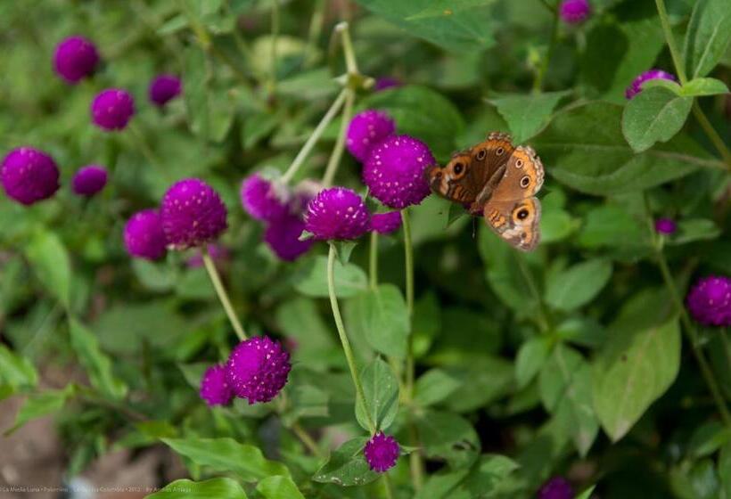 Hostal La Media Luna Palomino