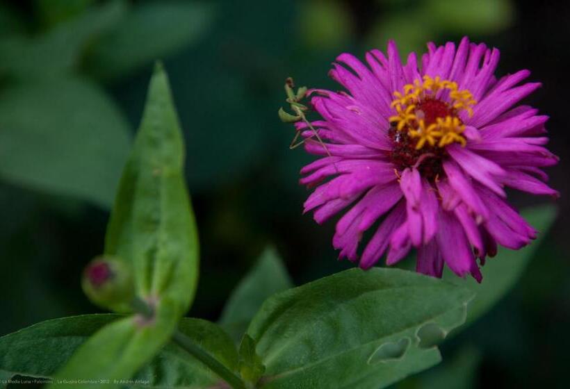 Hostal La Media Luna Palomino