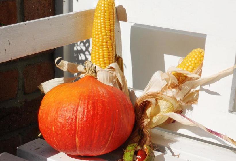 ホテル Garni Friesenhuus