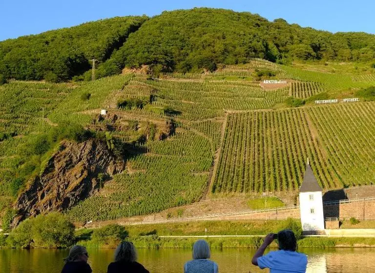 ホテル Gästehaus & Weingut Clüsserath Weiler