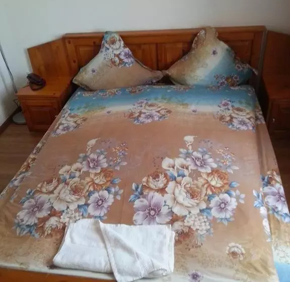 Motel Travel Europa
