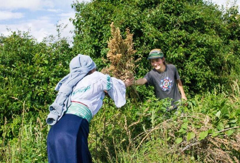 הוסטל Kallpa Wasi