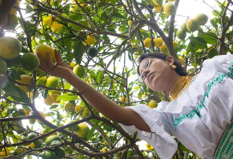 הוסטל Kallpa Wasi