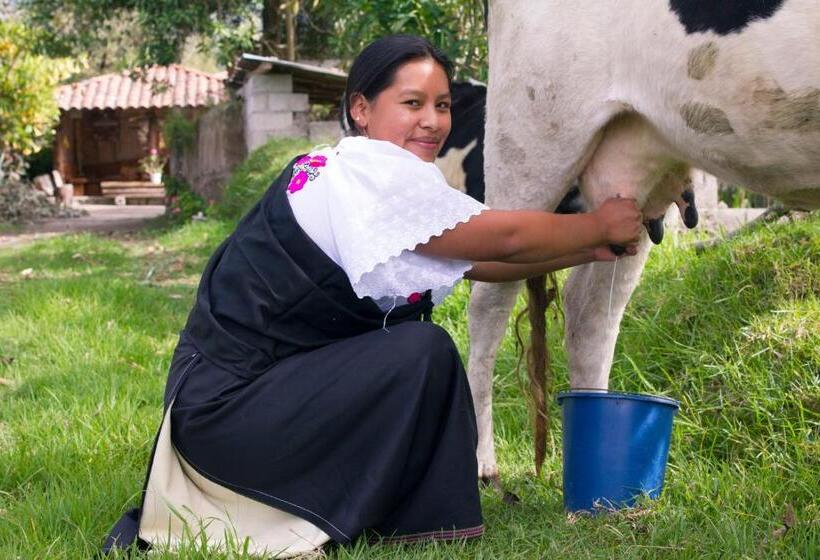 הוסטל Kallpa Wasi