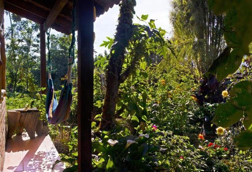 הוסטל Kallpa Wasi